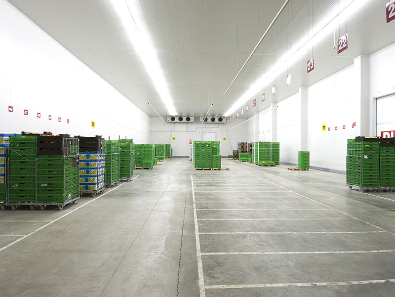 蔬果保鮮冷庫(kù)項(xiàng)目 